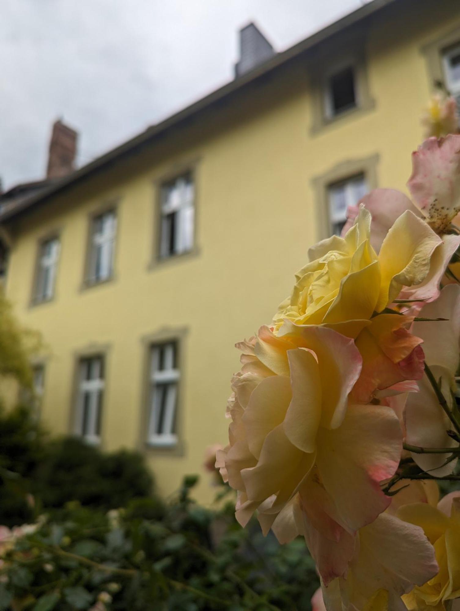 Atelier Wolkenschloss Wernigerode Zewnętrze zdjęcie